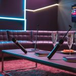organize perfect singing party